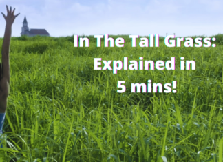 In the tall grass movie review ending explained in 5 min feature image
