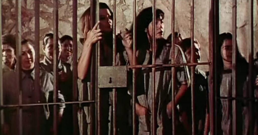 Movies About Women Imprisonment 99 women